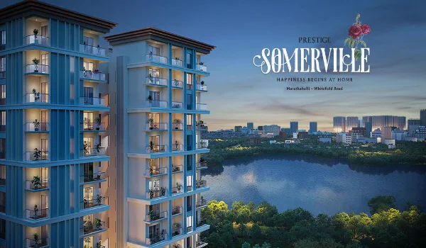 Featured image of Prestige Somerville
