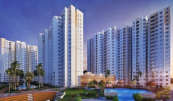 Featured image of Prestige Pine Forest
