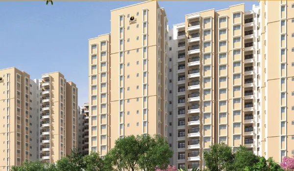 Featured image of Prestige Primrose Hills
